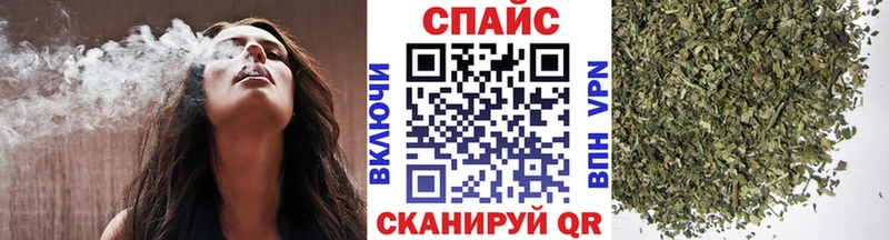 Купить где  Зубцов  БУТИРАТ буратино 
