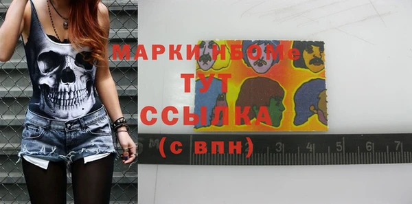 твердый Горняк