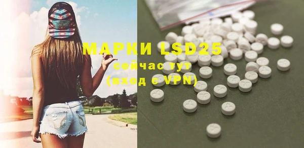 твердый Горняк