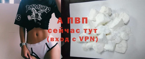 твердый Горняк