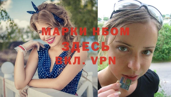 твердый Горняк