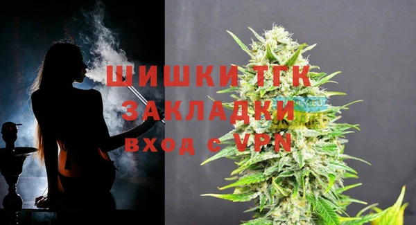 твердый Горняк