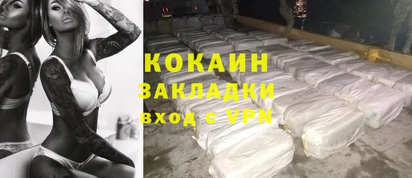 твердый Горняк