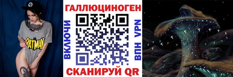 Галлюциногенные грибы прущие грибы  Купить где  Зубцов 